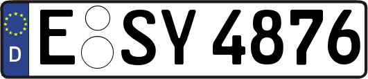 E-SY4876