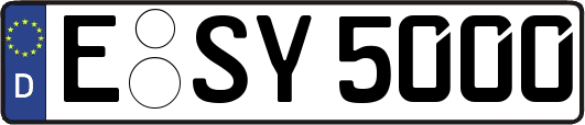 E-SY5000