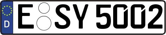 E-SY5002