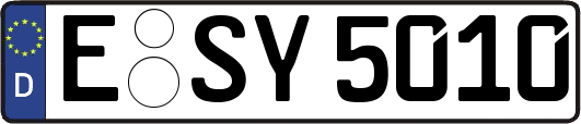 E-SY5010