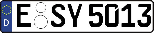E-SY5013