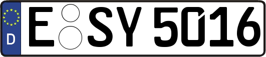 E-SY5016