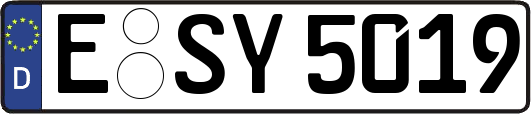 E-SY5019