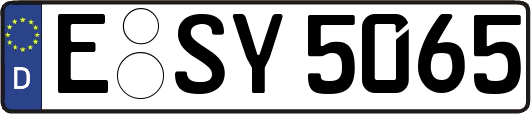 E-SY5065