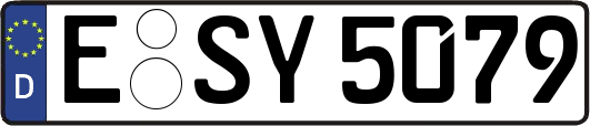 E-SY5079