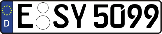 E-SY5099