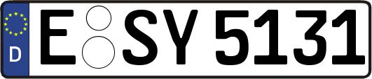 E-SY5131