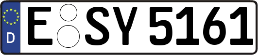 E-SY5161