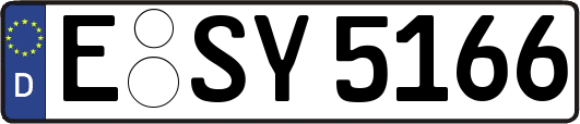E-SY5166