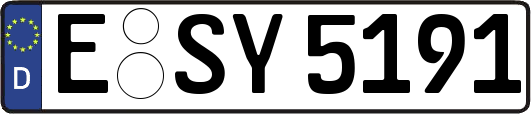 E-SY5191