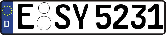 E-SY5231