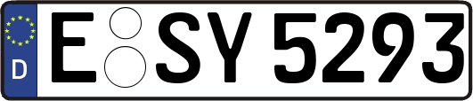 E-SY5293