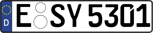 E-SY5301