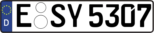 E-SY5307