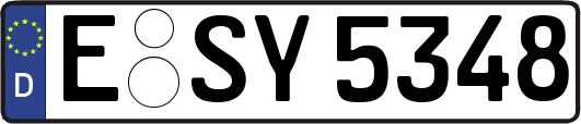 E-SY5348