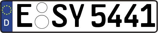 E-SY5441