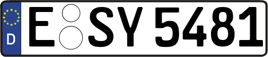 E-SY5481