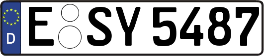 E-SY5487