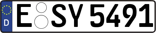 E-SY5491