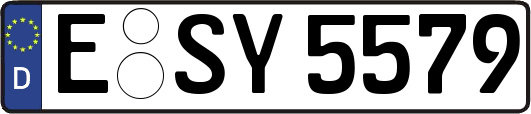 E-SY5579