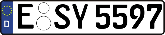 E-SY5597