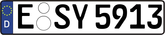E-SY5913
