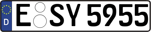 E-SY5955
