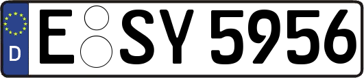 E-SY5956