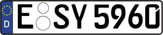 E-SY5960