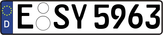 E-SY5963