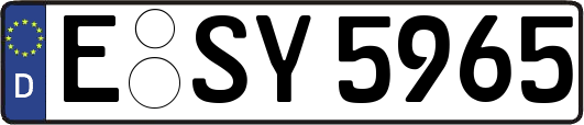 E-SY5965