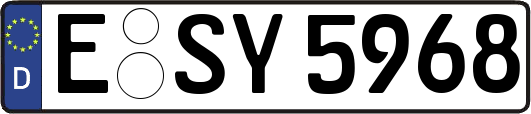 E-SY5968