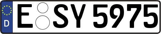 E-SY5975