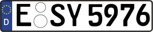 E-SY5976