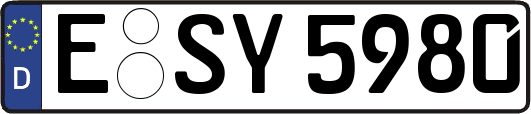 E-SY5980