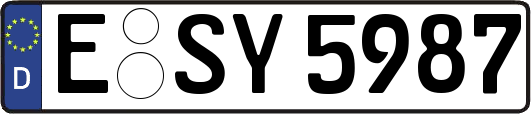 E-SY5987