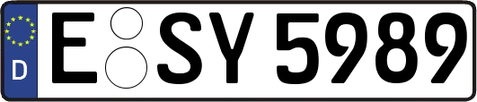 E-SY5989