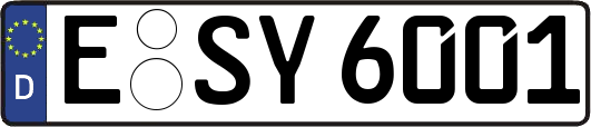 E-SY6001
