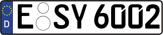E-SY6002