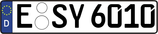 E-SY6010