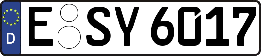 E-SY6017