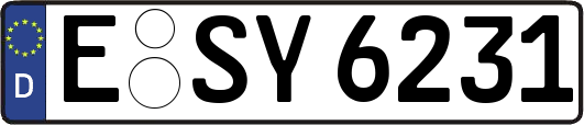 E-SY6231