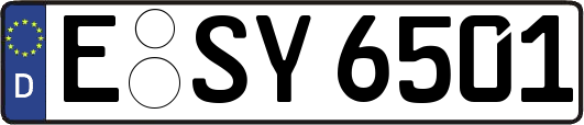 E-SY6501