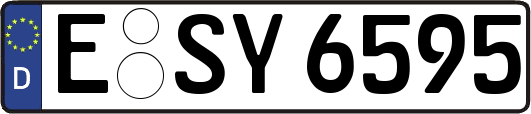 E-SY6595
