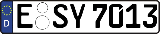 E-SY7013