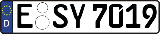 E-SY7019