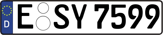 E-SY7599