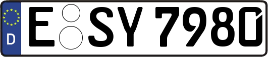 E-SY7980
