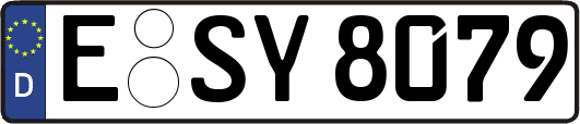 E-SY8079
