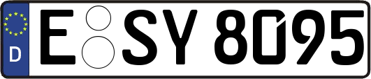 E-SY8095